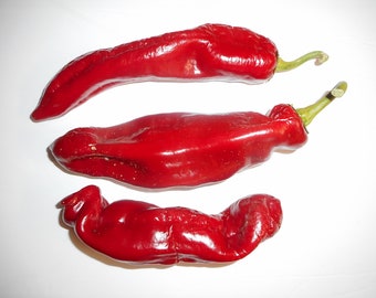 Paprika Dulce Rojo Sweet Pepper - Heirloom 10 seeds