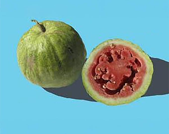 Chelsea Watermelon - RARE heirloom 10 seeds