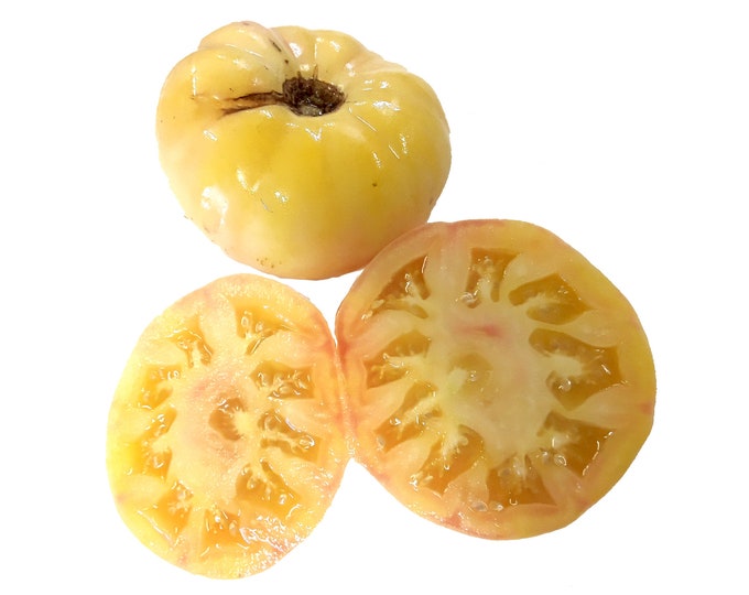 White Tomesol Tomato - Heirloom 15 seeds