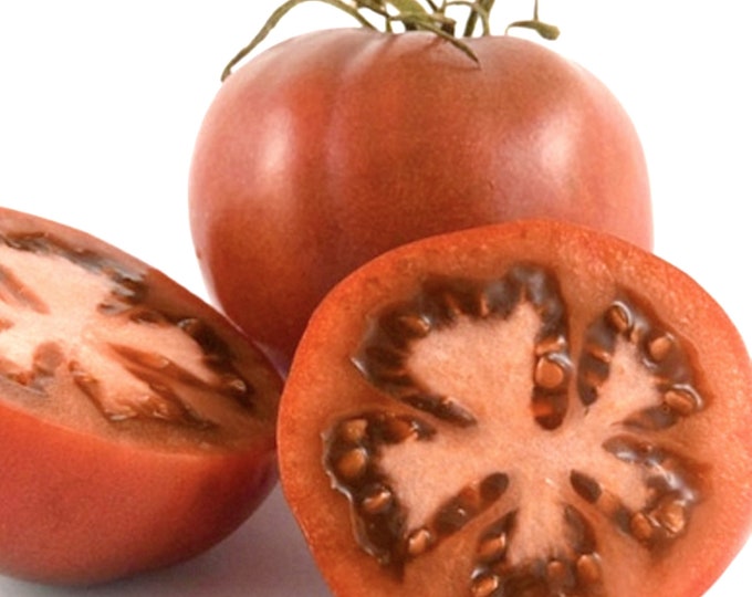 Sleeping Lady Tomato - RARE Heirloom 10 seeds