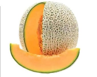 Iriqouis Cantaloupe Melon - heirloom 15 seeds