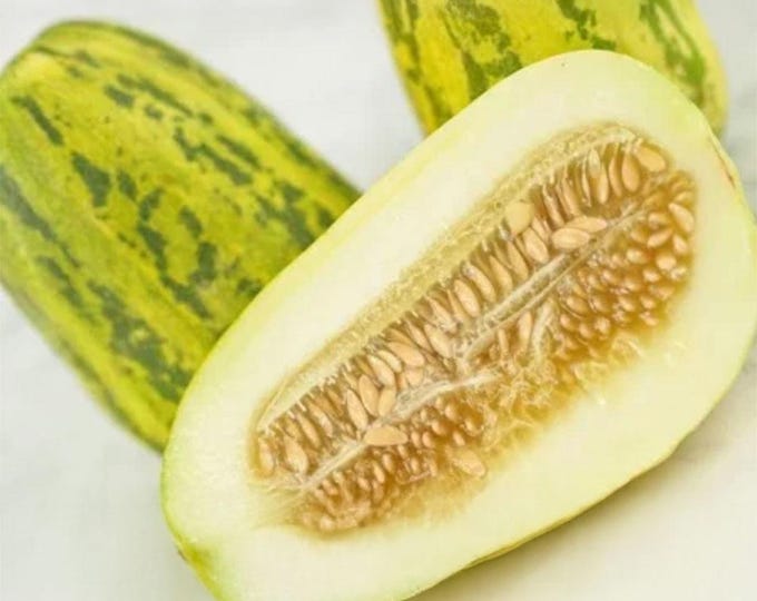 Apple Melon - RARE heirloom 10 seeds