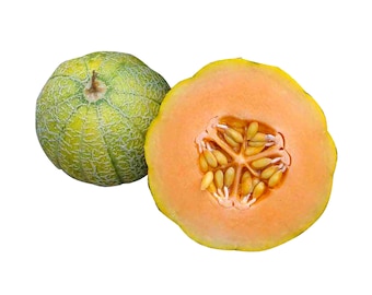 Minnesota Midget Cantaloupe Melon - Heirloom 10 seeds