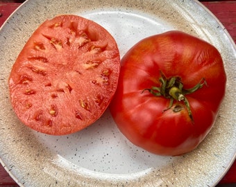 Italian Heirloom Tomato - Heirloom 10 seeds