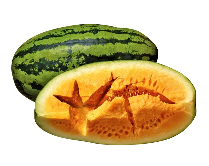 OrangeGlo Watermelon - heirloom 10 seeds