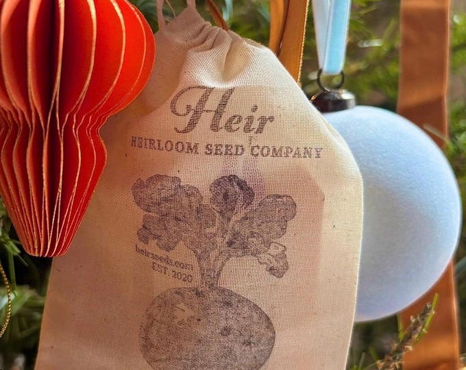 Great Red USSR Tomato - RARE Heirloom 10 seeds