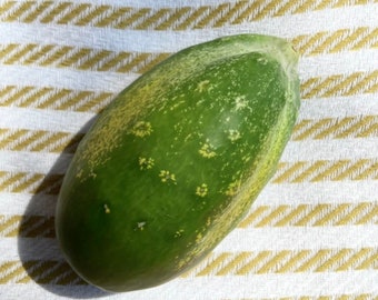 Boston Pickling Cucumber - Heirloom 20 seeds