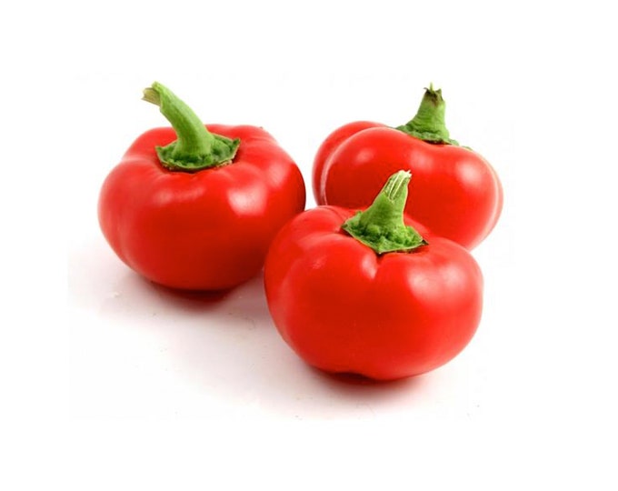 Sweet Pimento Pepper - Heirloom 10 seeds