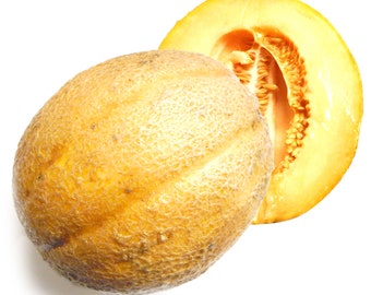 Mumbo Jumbo Cantaloupe Melon - VERY RARE Heirloom 20 seeds