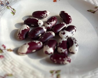 Jacob's Cattle Bean - Heirloom 15 seeds