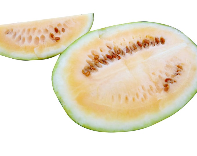 Sweet Siberian Watermelon - RARE heirloom 10 seeds