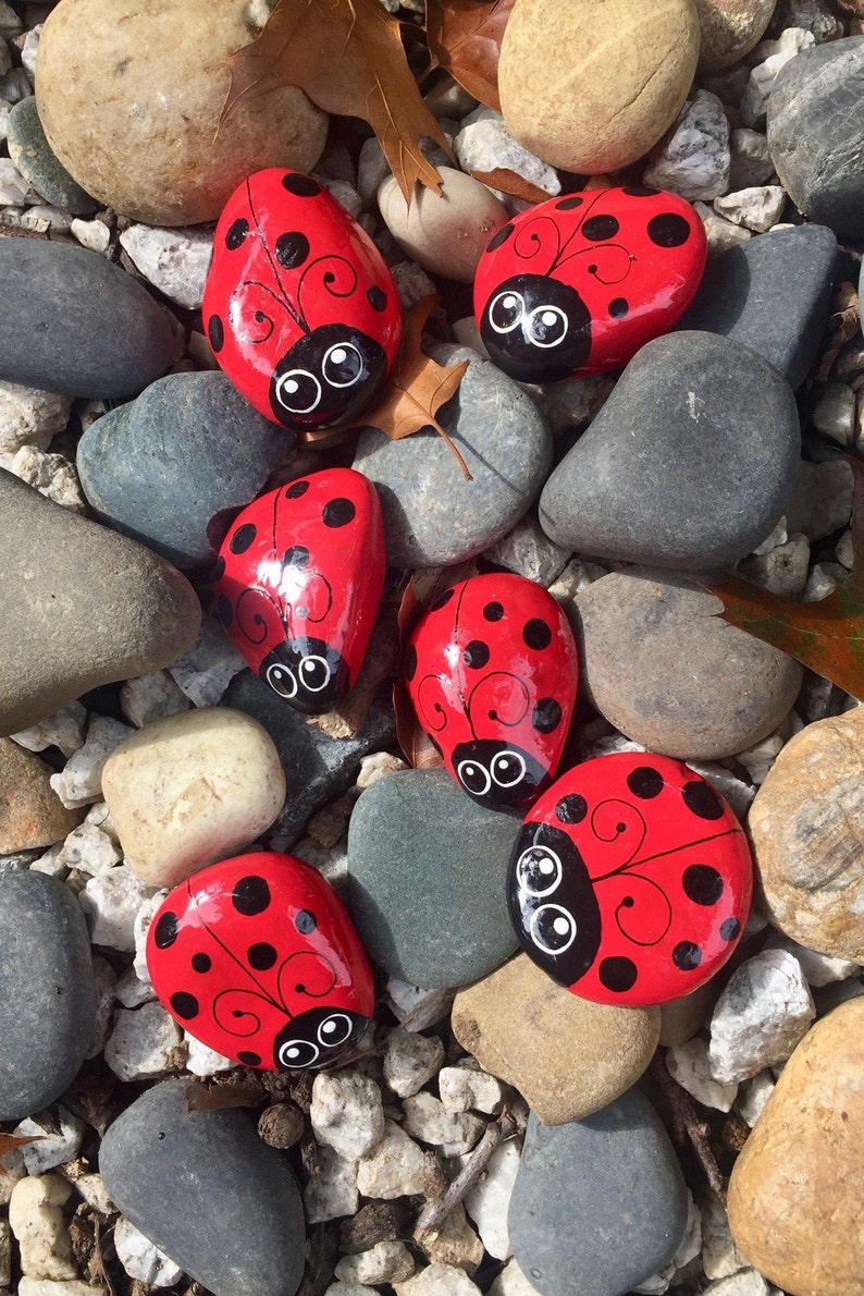 ONE 2 1/2 3 Inch Red Ladybug Rock Kindness Rocks Pocket | Etsy
