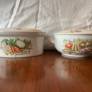 Vintage French APILCO Porcelain Dishes with Vegetable Design