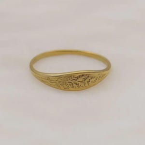 Puede incluir: Un anillo de tono dorado con una banda fina y lisa que se ensancha ligeramente en la parte frontal. La sección más ancha del anillo presenta un patrón detallado e intrincado de hoja de helecho grabado sobre la superficie del metal.