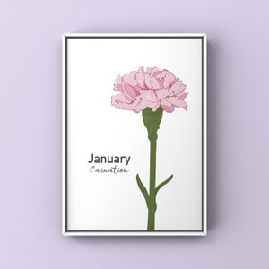 Birth Flower Illustration Print Illustrated Art Print A4 High Quality Print Gallery Wall Fun Colourful Floral Poster Gift January
