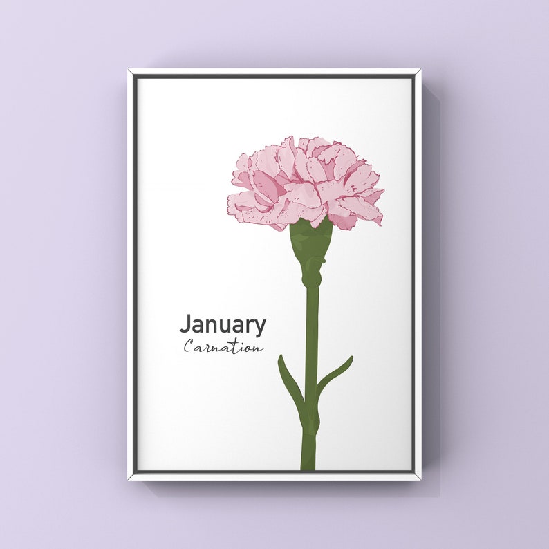 Birth Flower Illustration Print Illustrated Art Print A4 High Quality Print Gallery Wall Fun Colourful Floral Poster Gift January