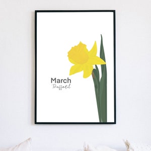 Birth Flower Illustration Print Illustrated Art Print A4 High Quality Print Gallery Wall Fun Colourful Floral Poster Gift image 9