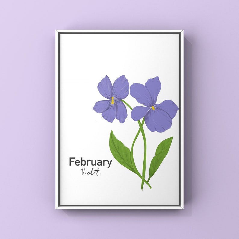 Birth Flower Illustration Print Illustrated Art Print A4 High Quality Print Gallery Wall Fun Colourful Floral Poster Gift February