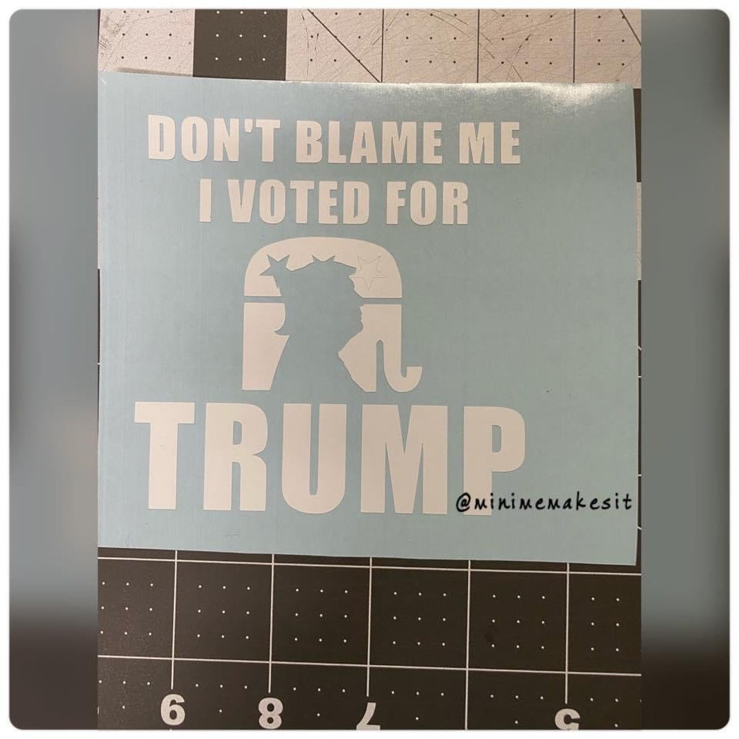 Don't Blame Me I Voted For TRUMP 18"x24" YARD SIGN DOUBLE SIDE Made In USA - Foto 4
