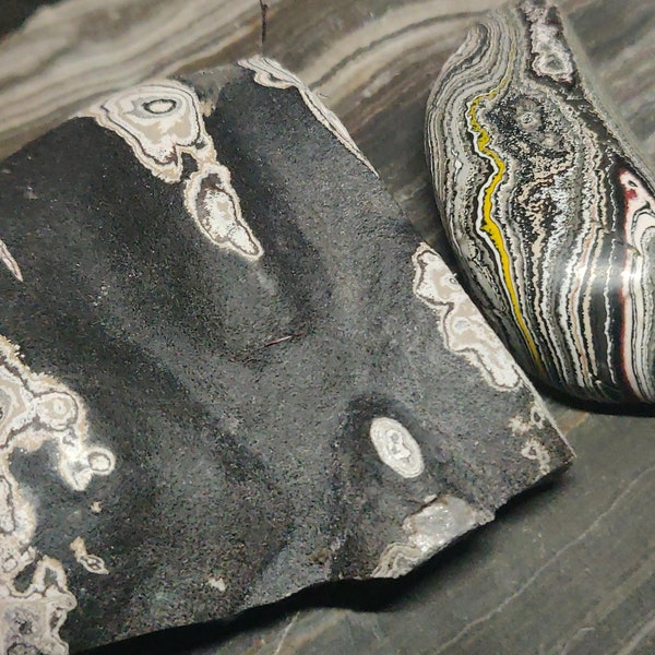 Fordite Rough | Detroit Agate Rough | Rough Fordite