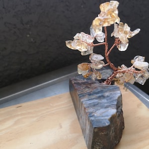 Feng Shui Jeweled Tree with Citrine Crystals and Petrified Wood