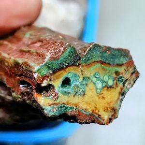 Hampton Butte Green Petrified Wood Limb Cast with Bark Like Texture Old Stock-#1