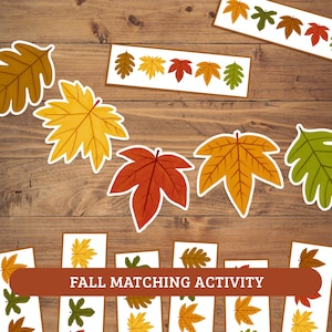 Könnte beinhalten: Ein Herbst-Zuordnungsspiel bestehend aus verschiedenen Papier-Ausschnitten von Herbstblättern in Gelb-, Orange-, Rot- und Grüntönen. Das Set enthält einzelne Blattformen sowie rechteckige Streifen mit dem aufgedruckten Text FALL MATCHING ACTIVITY.