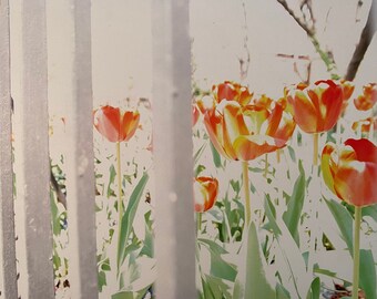 Handmade Floral Photo Canvas Print Wall Decor | NYC Tulip Garden Art