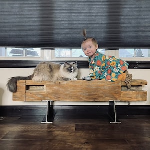 May include: A rustic wooden bench with a light-colored cat and a toddler wearing a floral dress. The bench has metal legs and is positioned in front of a window with dark blinds. The cat is lying down on the bench.