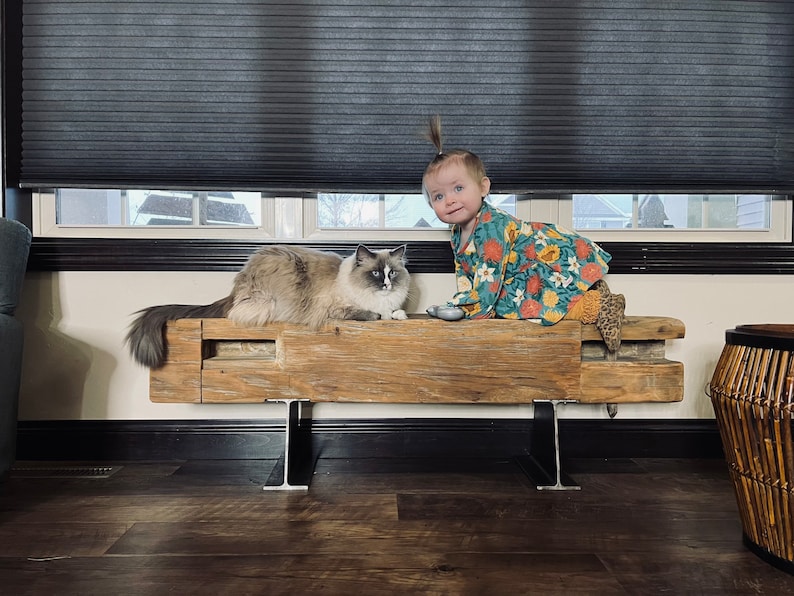 May include: A rustic wooden bench with a light-colored cat and a toddler wearing a floral dress. The bench has metal legs and is positioned in front of a window with dark blinds. The cat is lying down on the bench.
