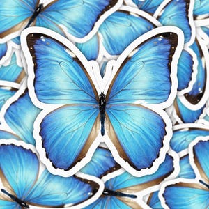 Sticker vinyle papillon Morpho bleu, Sticker papillon bleu, Sticker esthétique nature pour ordinateur portable, sticker papillon imperméable mignon