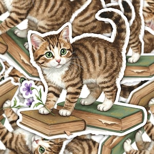 BookTok Kitten Sticker, Cat on Books Sticker, Book Lover Cat Decal, Reading Cat Waterproof Sticker, Kawaii Cat Sticker, Cat Lover Gift