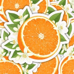 Orange Sticker, Citrus Blossom Sticker, Cottagecore Fruit Decal, Vintage Orange Vinyl, Floral Laptop Sticker