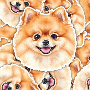Pomeranian Dog Sticker | Cute Fluffy Dog Vinyl Sticker | Waterproof Pomeranian Decal | Dog Lover Gift | Laptop Water Bottle Sticker