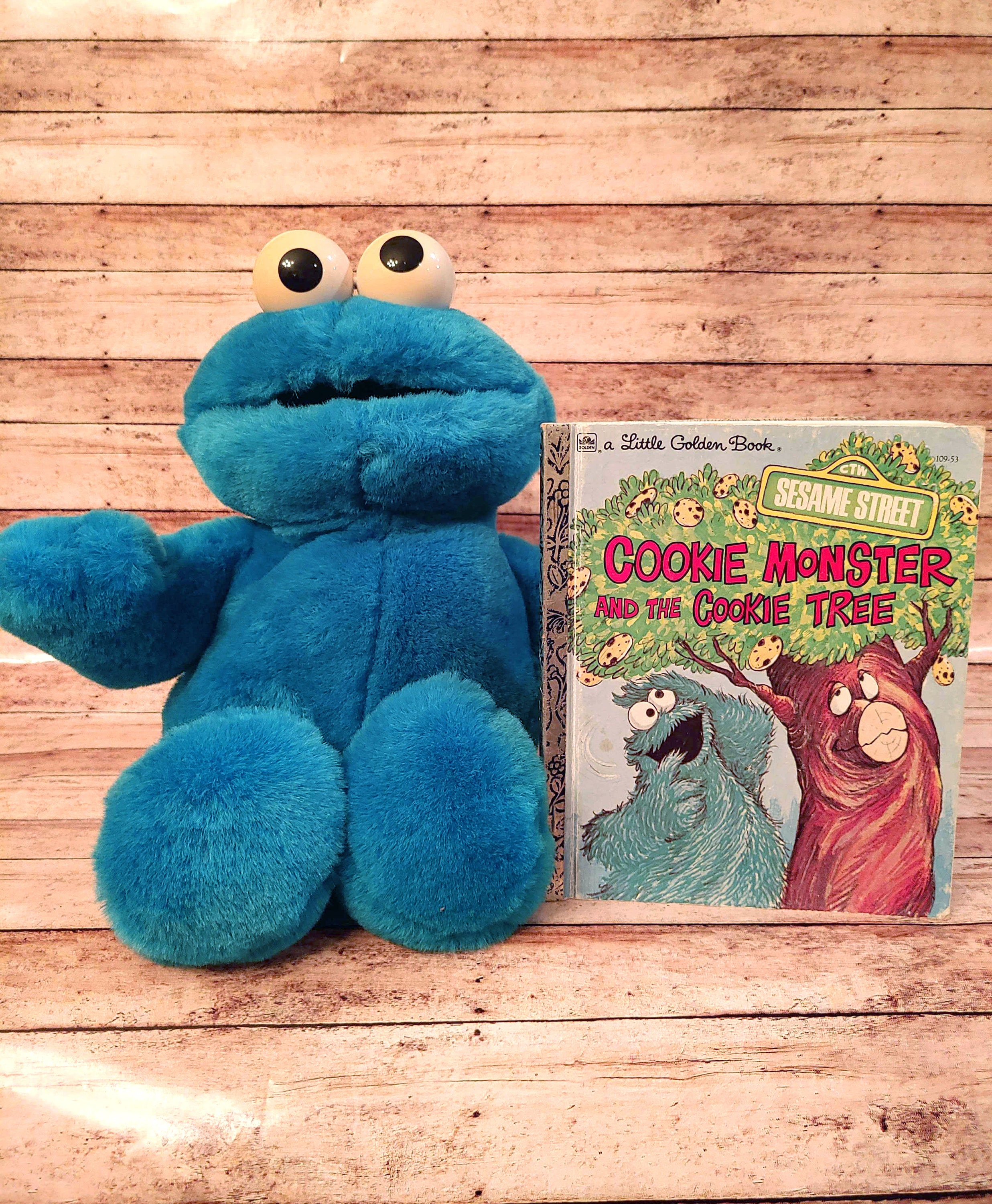 small cookie monster plush