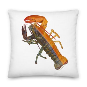Split-Colored  Lobster Pillow — Square