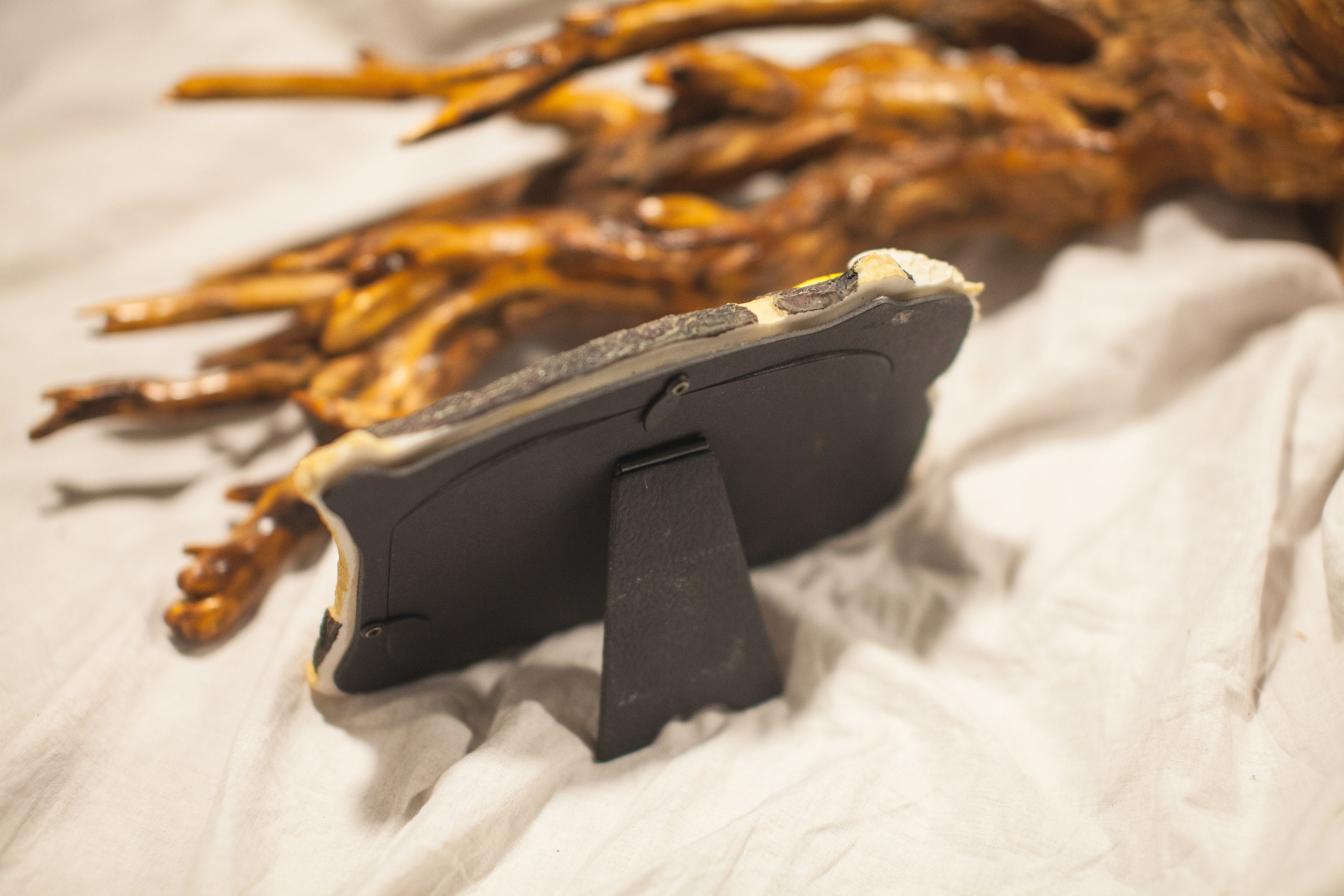 Bald Eagle Picture Frame Etsy