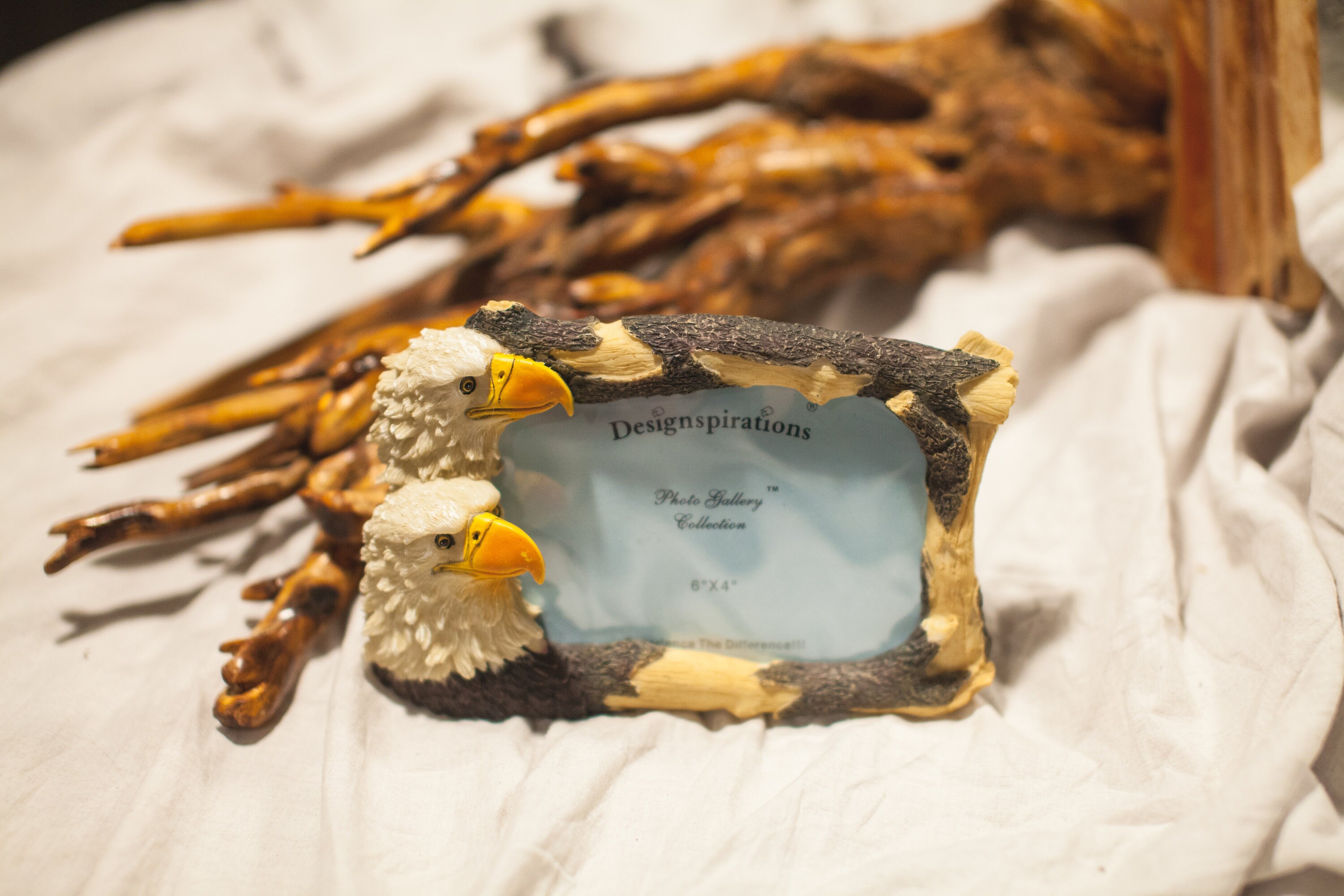 Bald Eagle Picture Frame Etsy