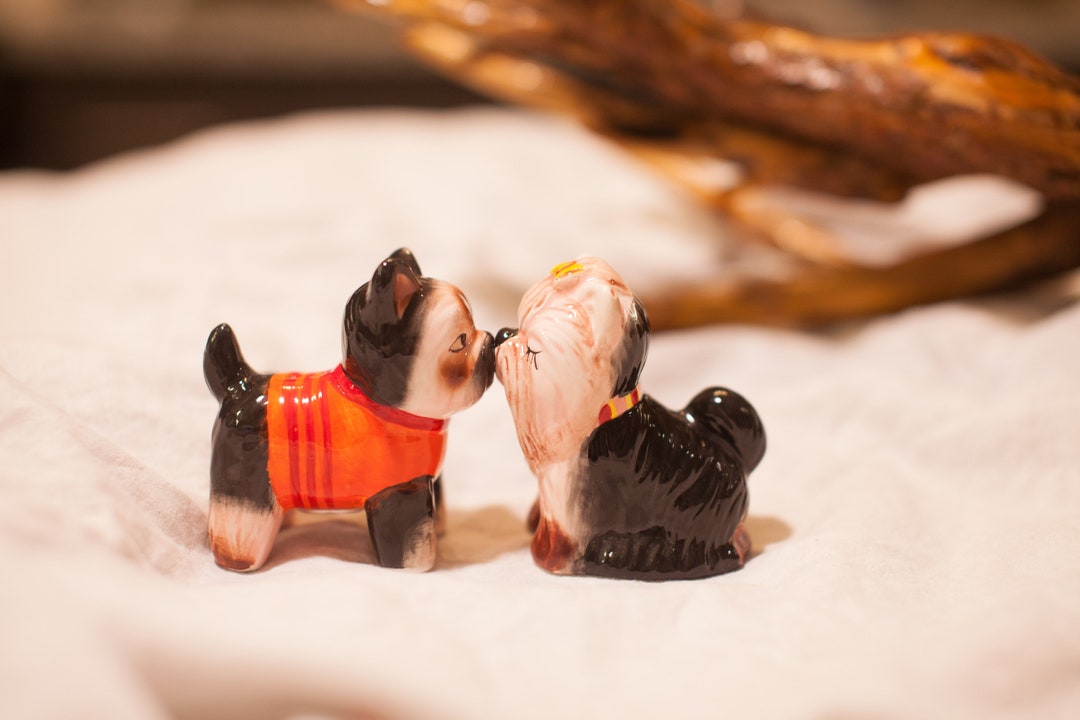Kissing Yorkie Salt and Pepper Shakers Etsy