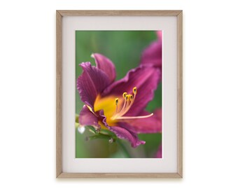 Purple Lily, Image numérique, Diy Art, Photo téléchargeable, Toile, Botanique, Floral, Décor Chaud