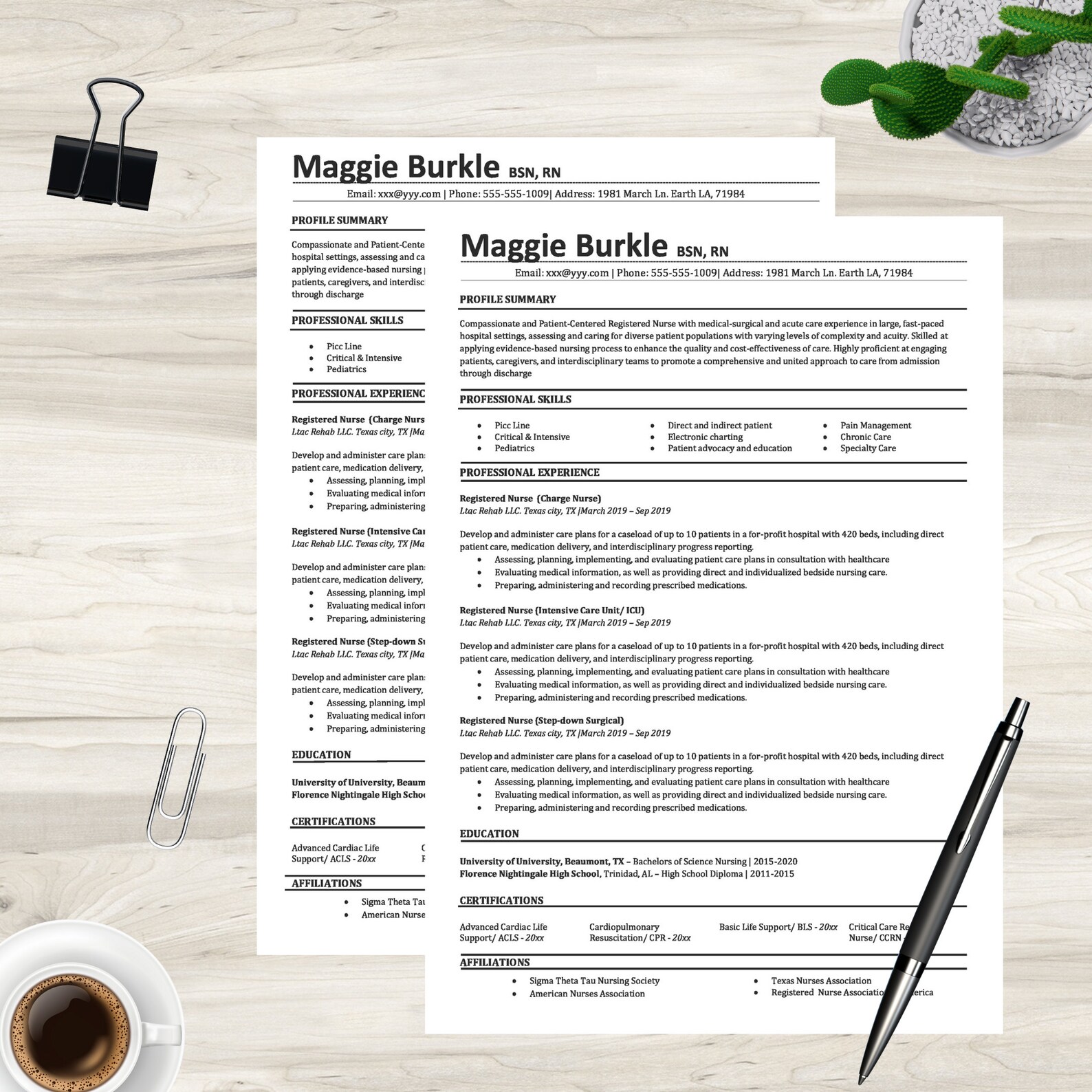 Nurse Resume Template Nurse CV Template BSN Nurse Template Resume One Nurse Resume Template Nurse CV Template BSN Nurse Template Resume One