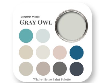 Gray Owl by Benjamin Moore Interior Paint Color Palette, Interior Design Color Trends, Best White for trim, House Paint Colors, trending