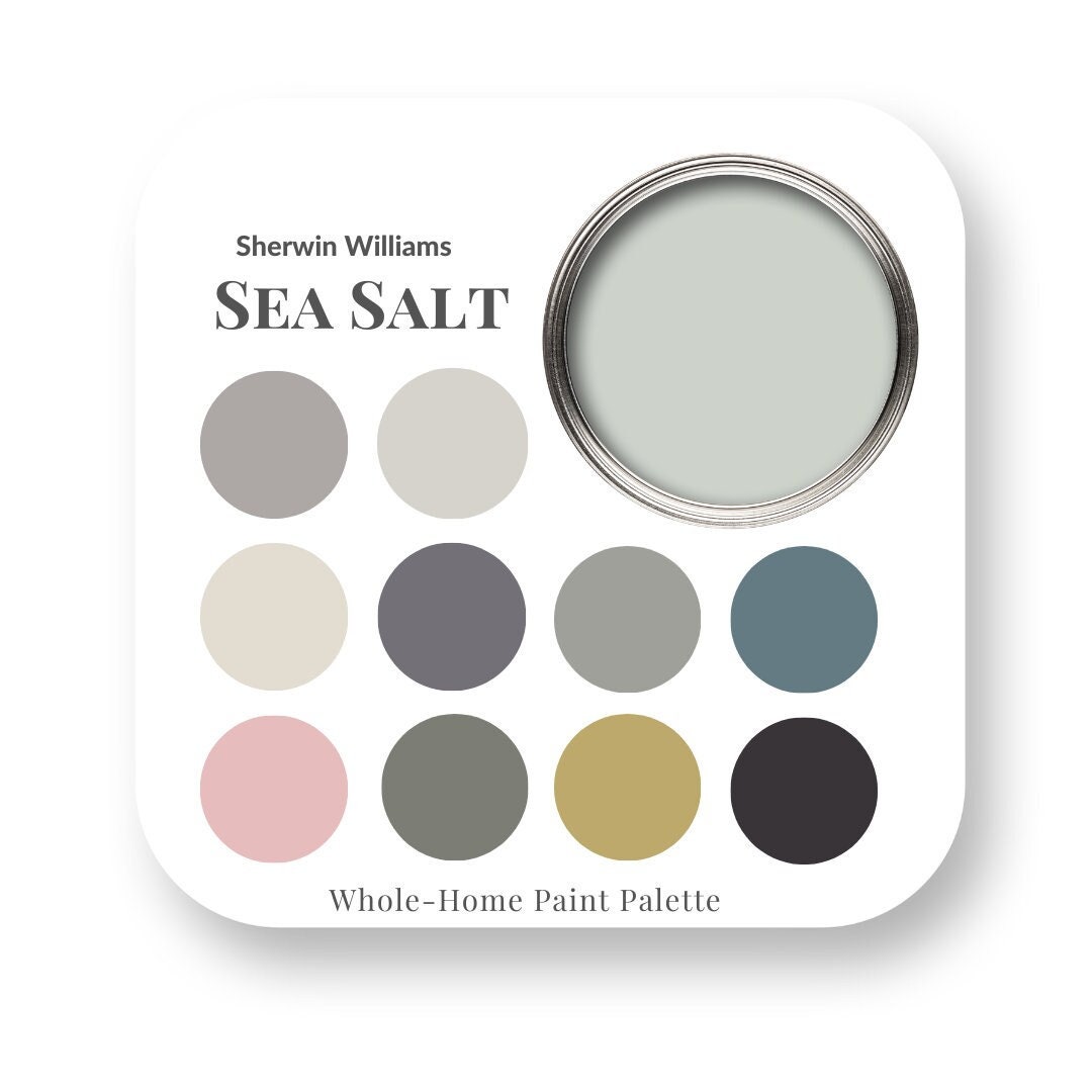Sea Salt by Sherwin Williams Interior Paint Color Palette, Interior Design Color Trends, Best White for trim, House Paint Colors, trending