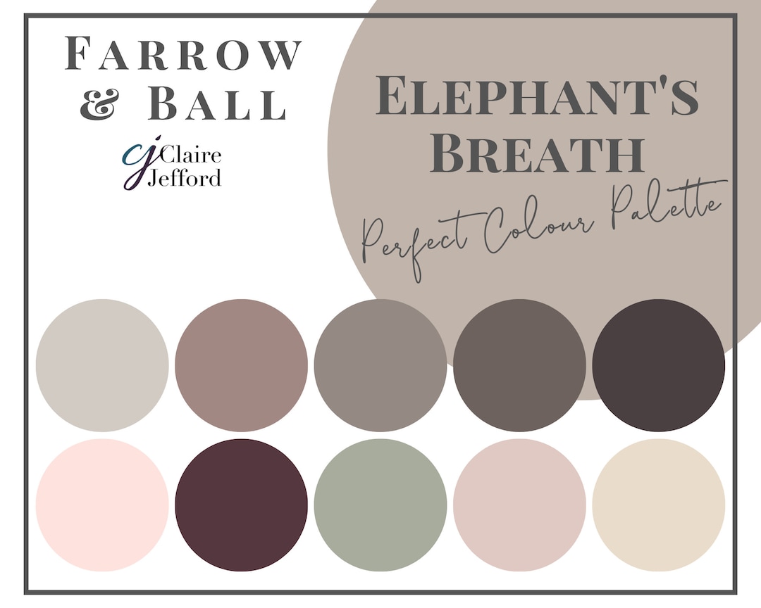 Elephant's Breath by Farrow & Ball Interior Paint Color Etsy UK
