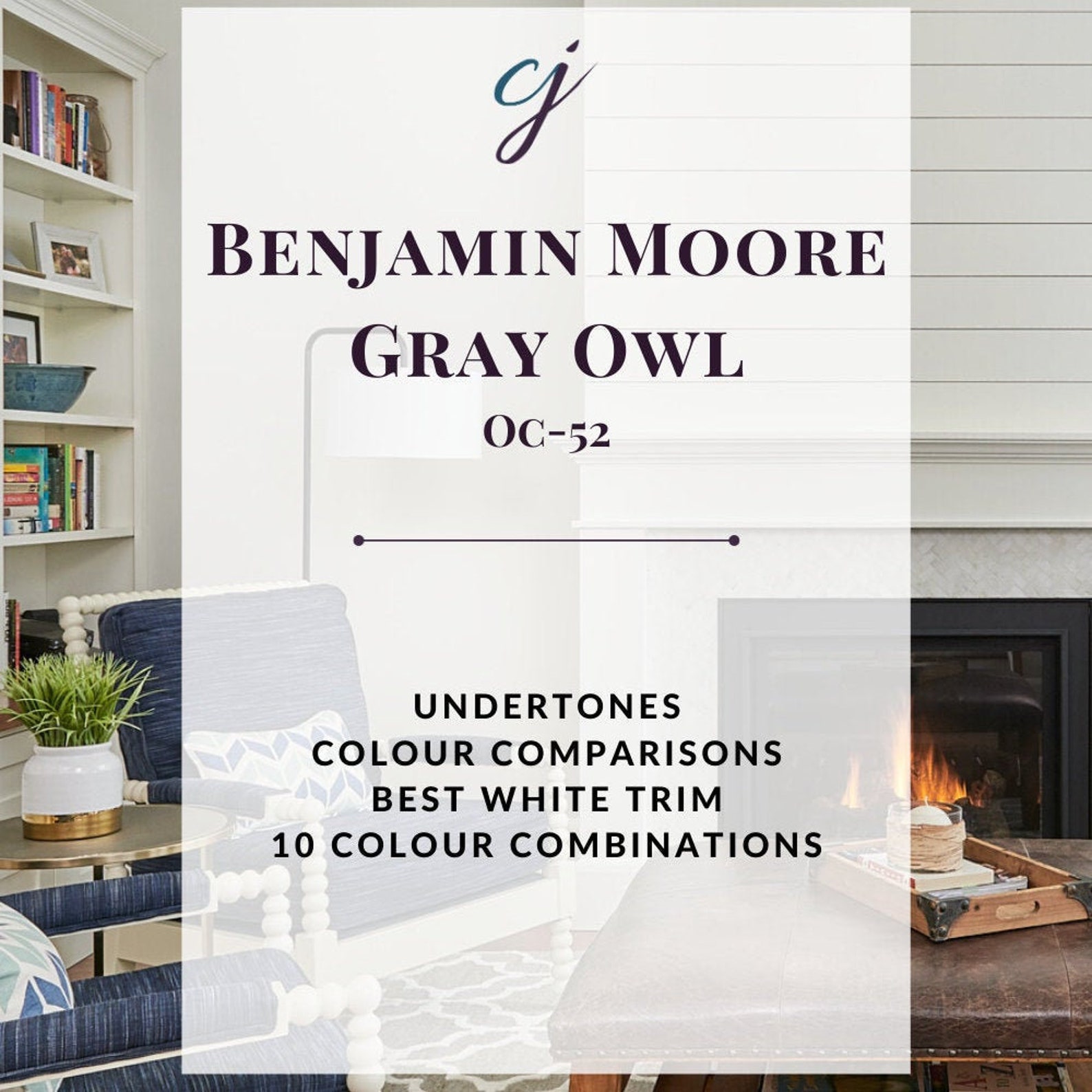 Gray Owl by Benjamin Moore Essential Paint Colour Guide Etsy