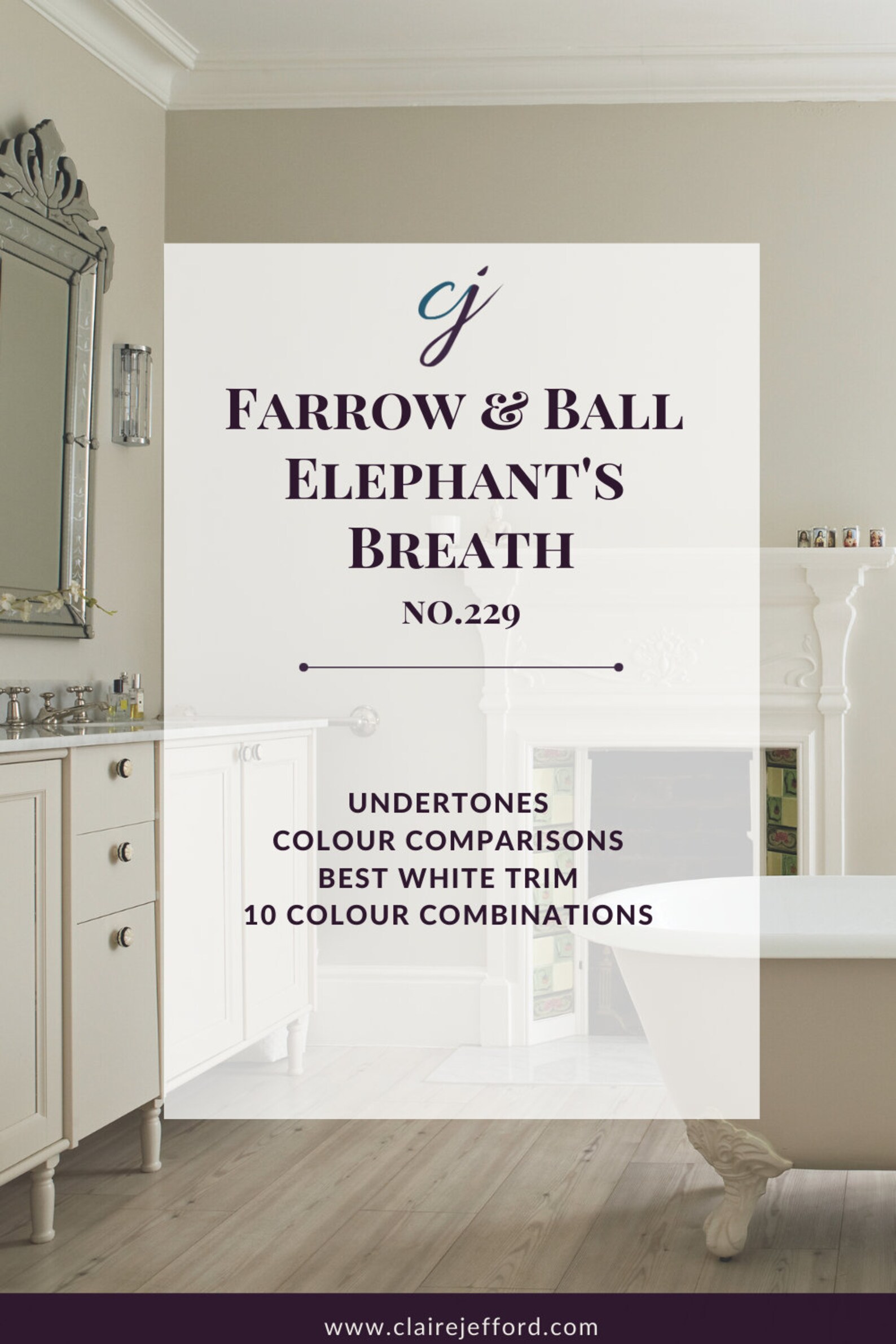 Elephant's Breath by Farrow & Ball Essential Colour Guide Etsy