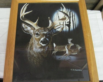 Nightlife Deer by C.J. Conner with Frame