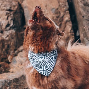May include: A brown dog with a black and white patterned bandana is howling with its mouth open. The dog is outdoors with a rocky background. The bandana has a zebra stripe design.