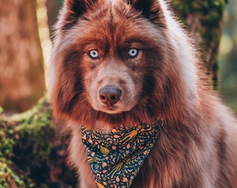 Pañuelo ecléctico para perro con diseño de extraterrestre y nave espacial • Bufanda hippie con diseño de ovni para atar • Pañuelo peculiar para mascotas con temática extraterrestre • Regalos hechos a mano para perros