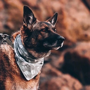 Animal Tracks Dog Bandana • Green Paw Print Tie On Dog Scarf • Woodland Pet Bandanas • Dog Neckwear Accessories • Handmade Gifts for Dogs